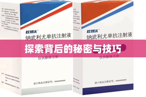 襄阳探索背后的秘密与技巧