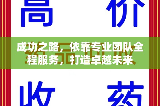 襄阳成功之路，依靠专业团队全程服务，打造卓越未来