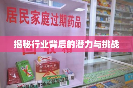 襄阳揭秘行业背后的潜力与挑战