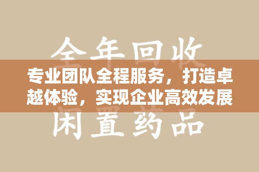 襄阳专业团队全程服务，打造卓越体验，实现企业高效发展