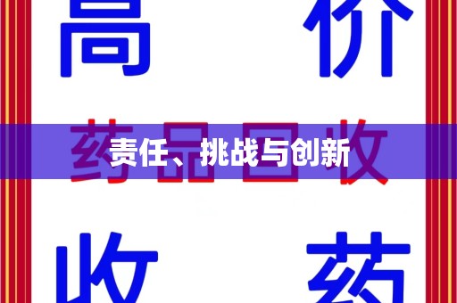 襄阳责任、挑战与创新
