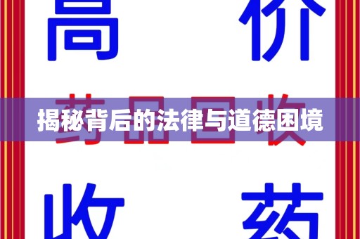 襄阳揭秘背后的法律与道德困境
