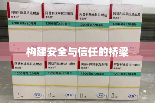 襄阳构建安全与信任的桥梁