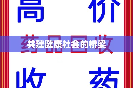 襄阳共建健康社会的桥梁