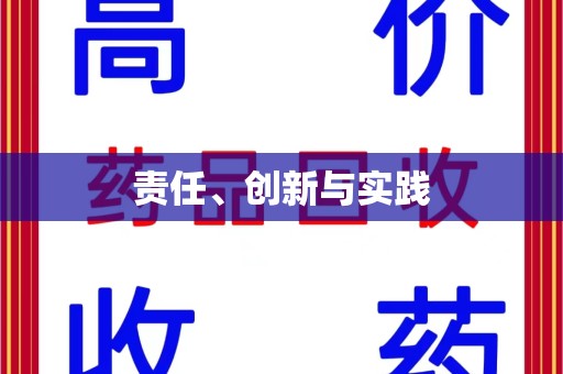 襄阳责任、创新与实践