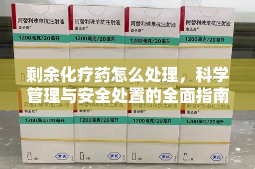 襄阳剩余化疗药怎么处理，科学管理与安全处置的全面指南