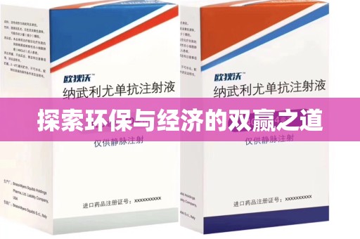 襄阳探索环保与经济的双赢之道