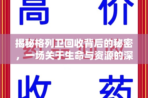 襄阳揭秘格列卫回收背后的秘密，一场关于生命与资源的深刻探讨