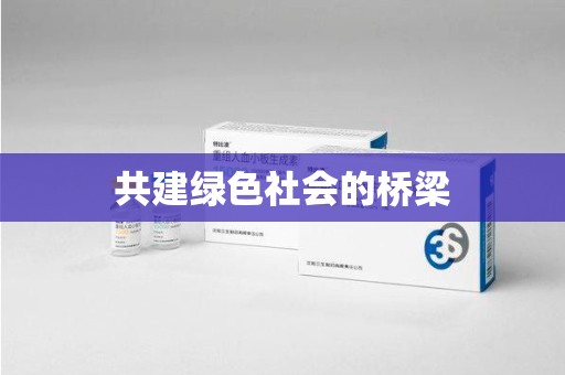 襄阳共建绿色社会的桥梁