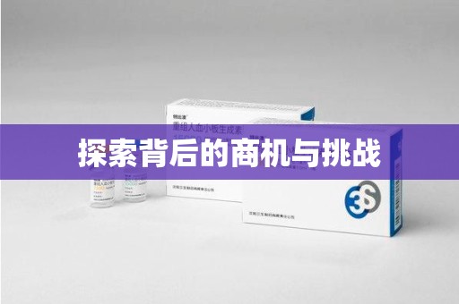 襄阳探索背后的商机与挑战